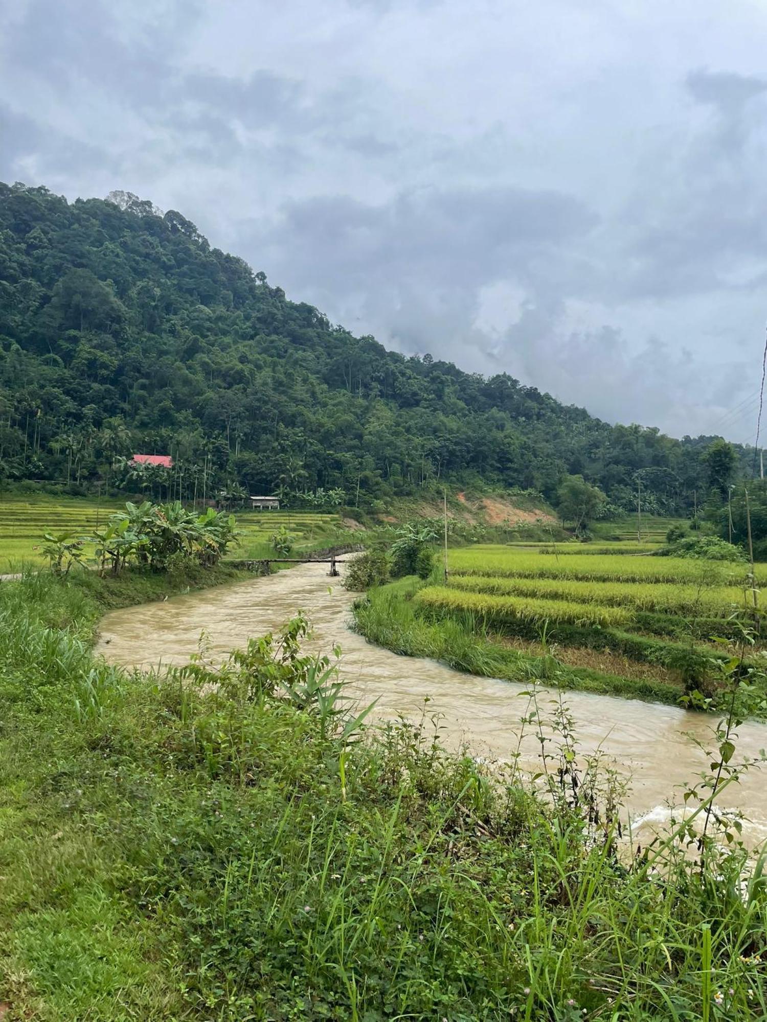 Pu Luong Jungle King 1 Homestay Exterior photo