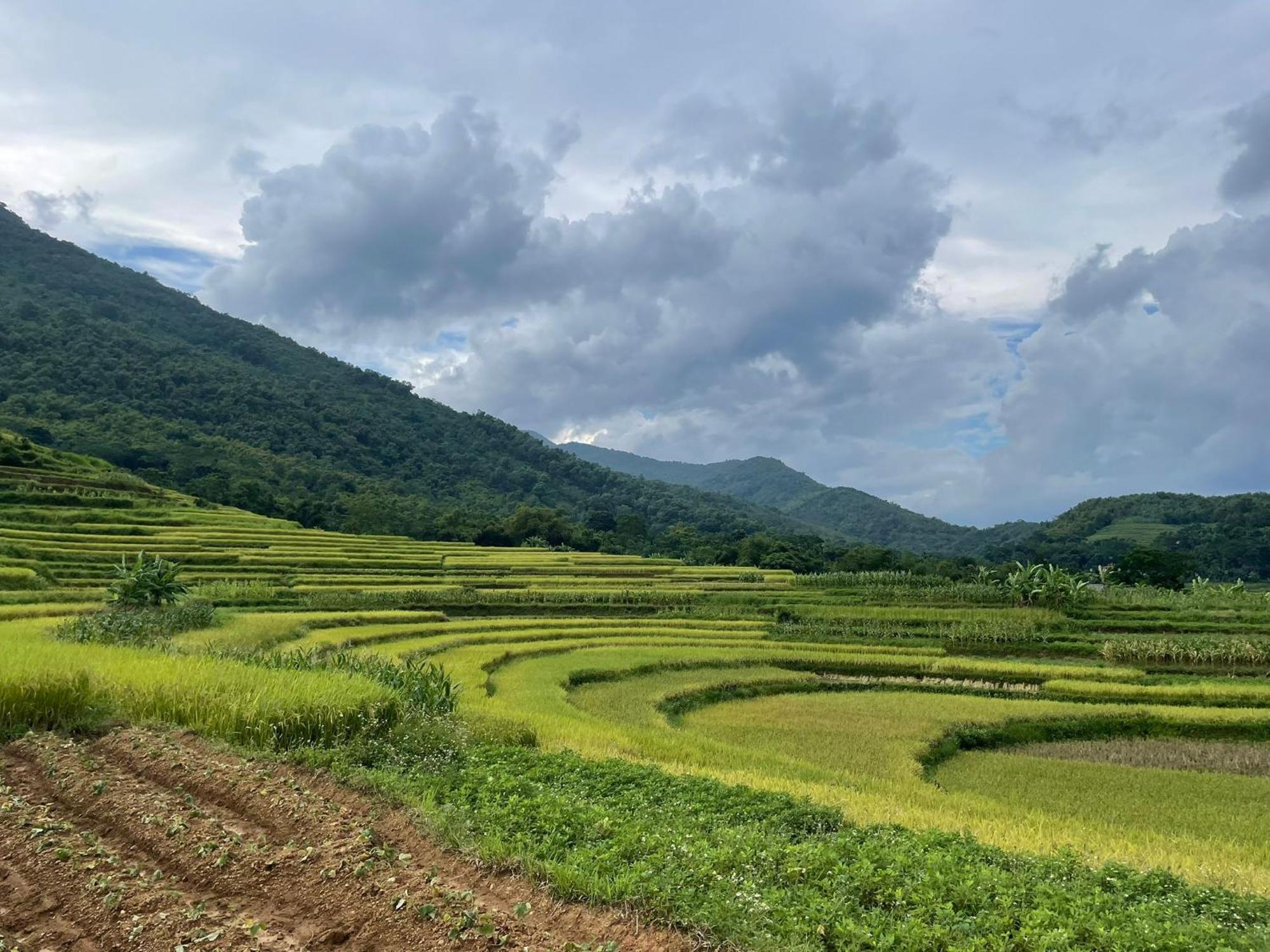 Pu Luong Jungle King 1 Homestay Exterior photo