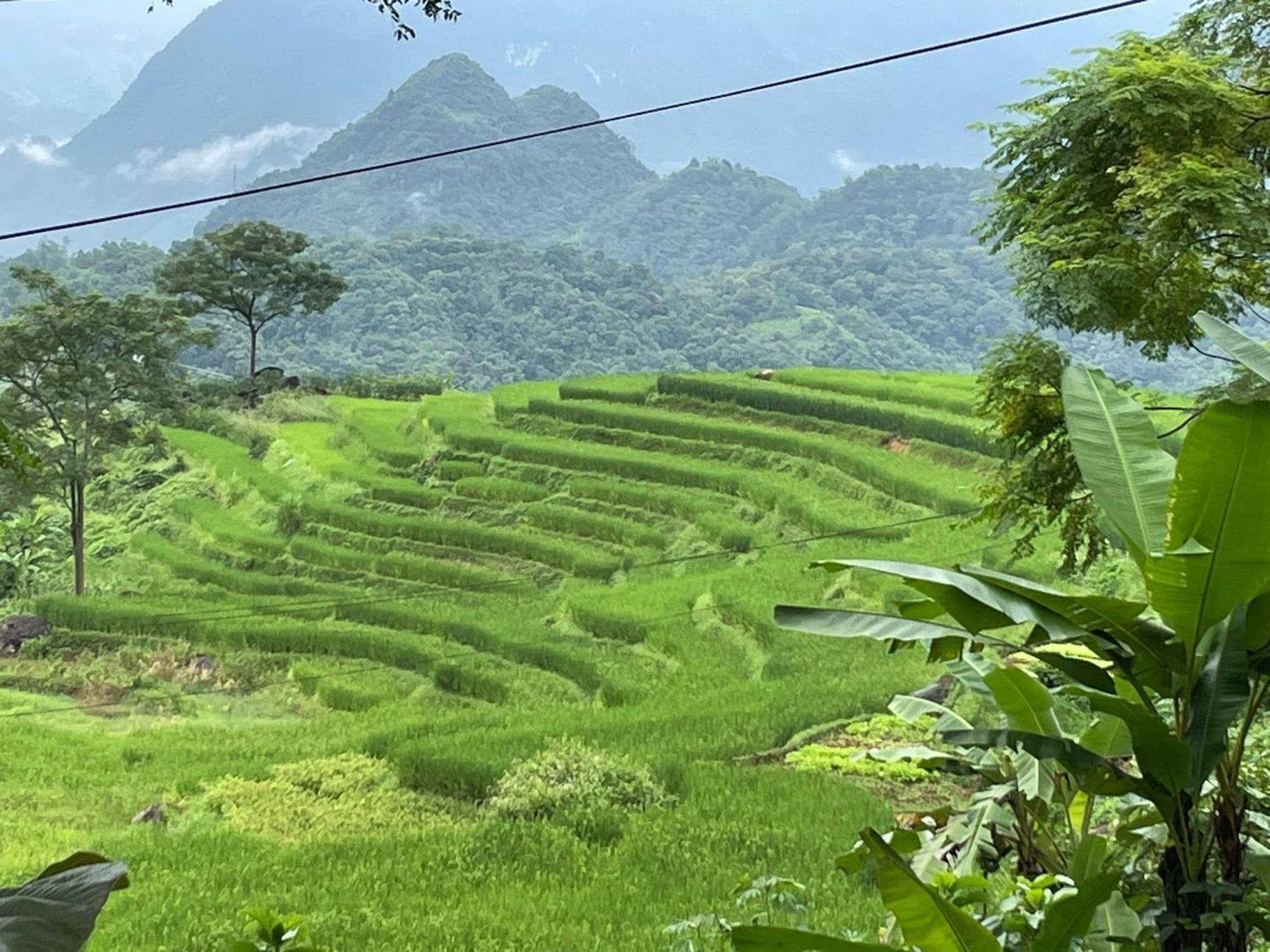 Pu Luong Jungle King 1 Homestay Exterior photo